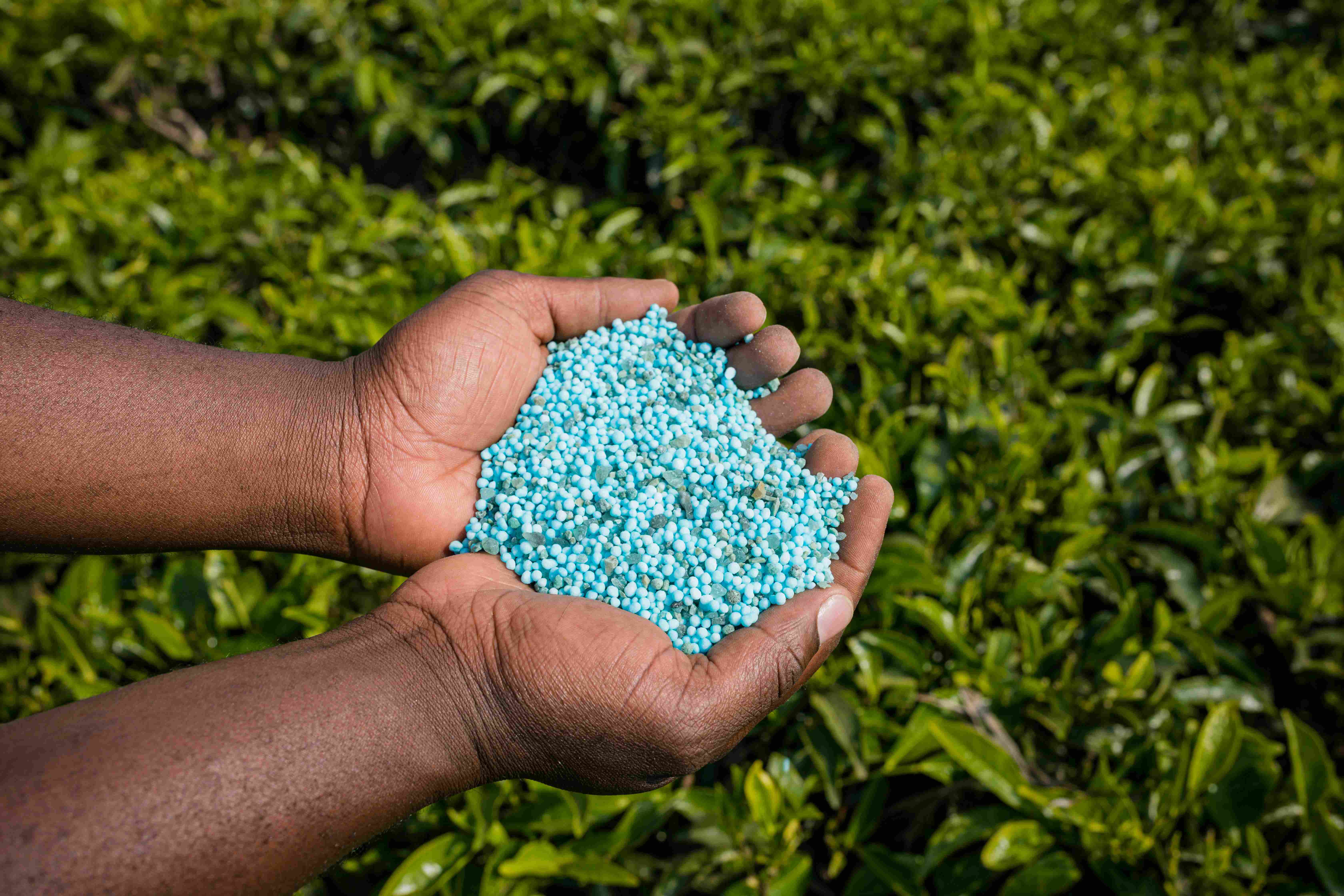 Agriculture